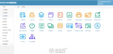 深耕企业数字化 高契合度的软件开发与信息系统集成服务